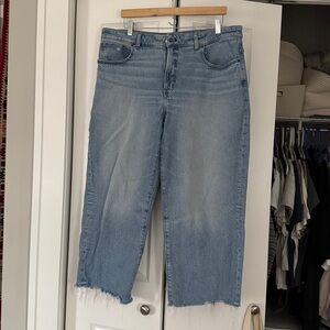 Madewell the curvy perfect vintage wide leg crop jeans